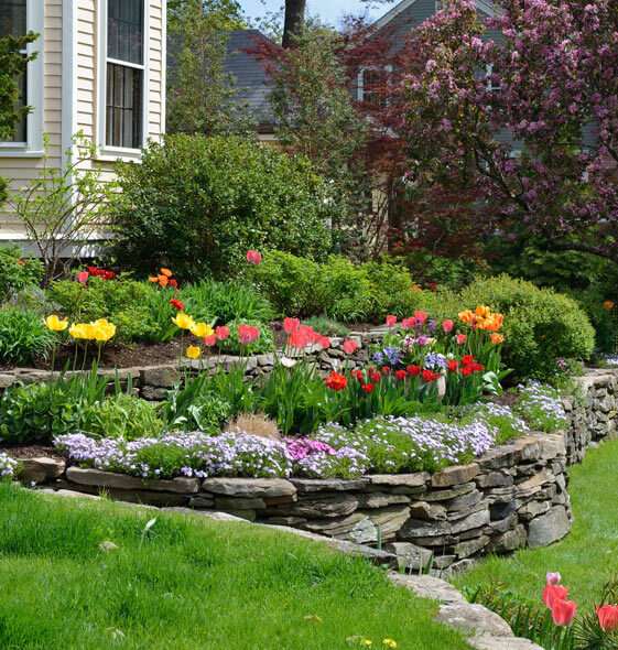 Classic and colorful garden