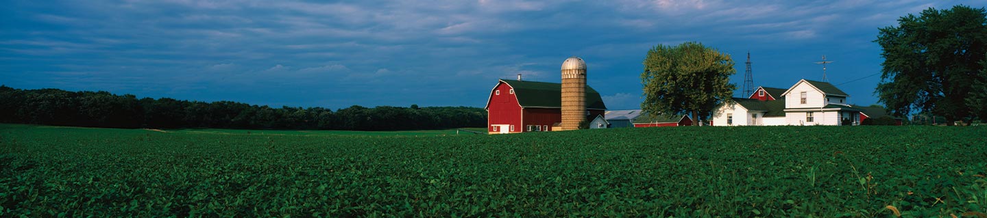 Farm-Banner