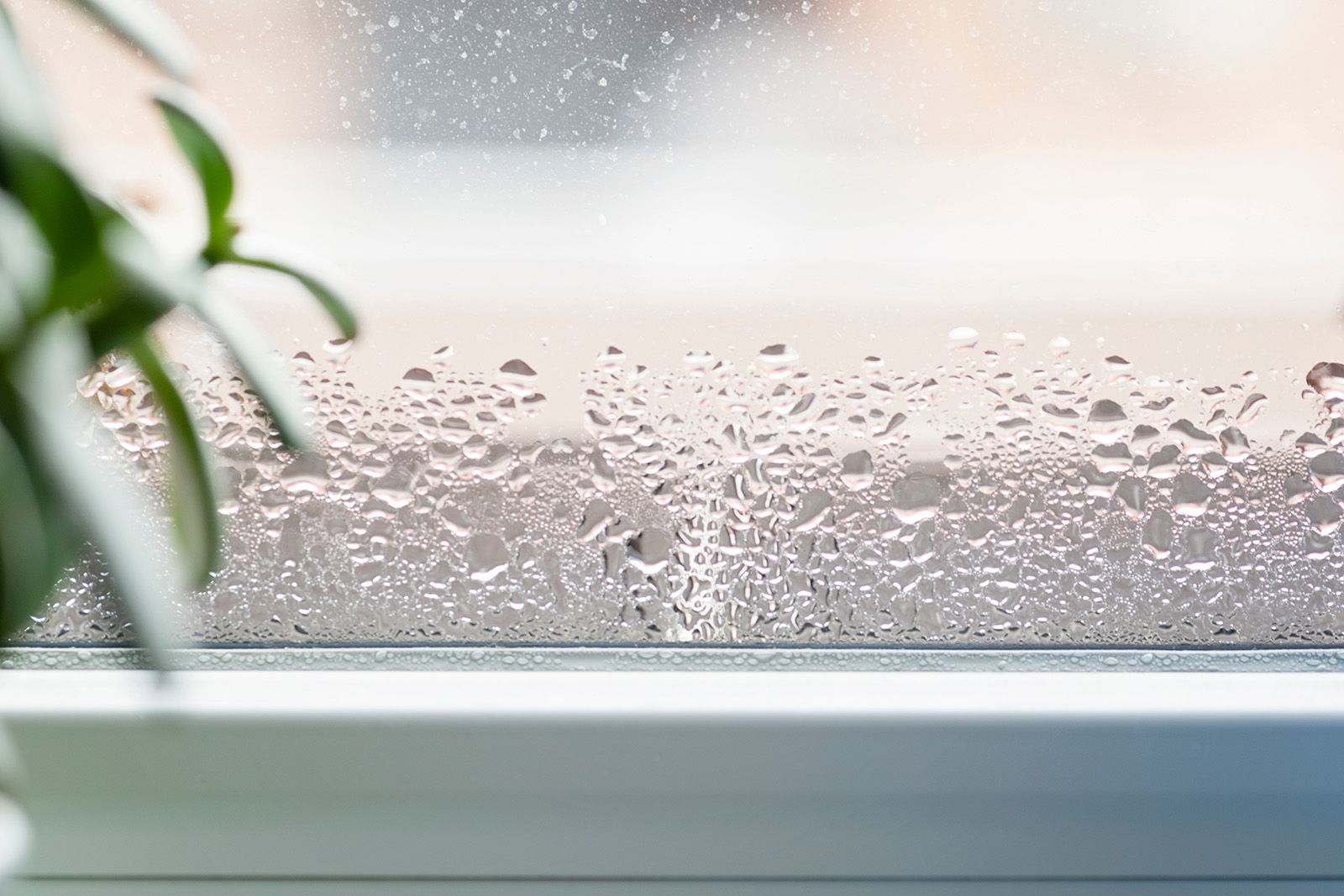 Humidity levels are clear from condensation on indoor window.