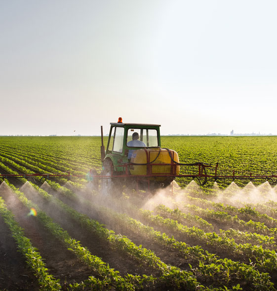 Tractor spraying on field