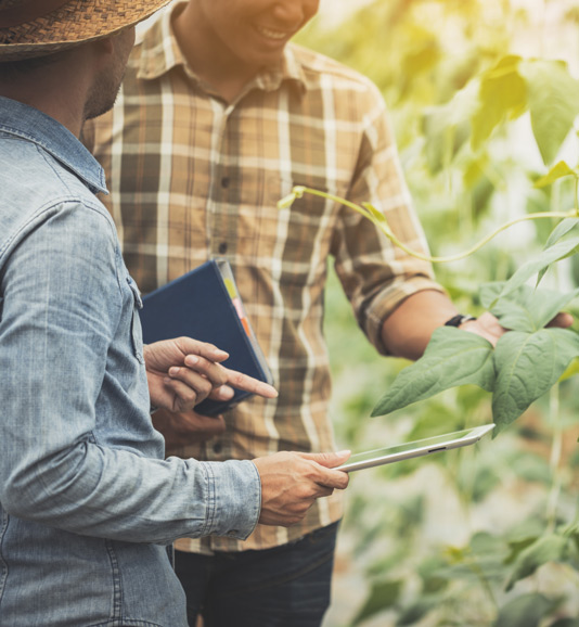 agriculture-image